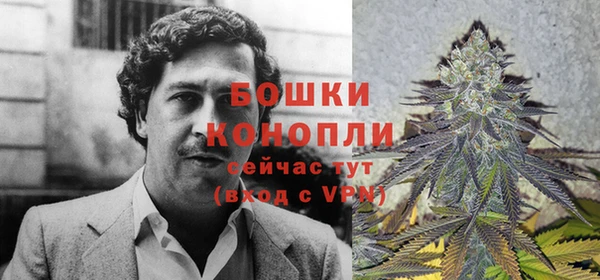 мяу мяу мука Кулебаки