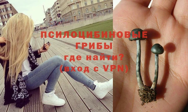 гашишное масло Краснослободск