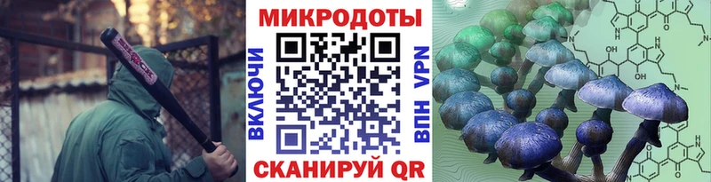 Купить где  Краснокаменск  Галлюциногенные грибы мицелий 